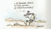 Barrigue